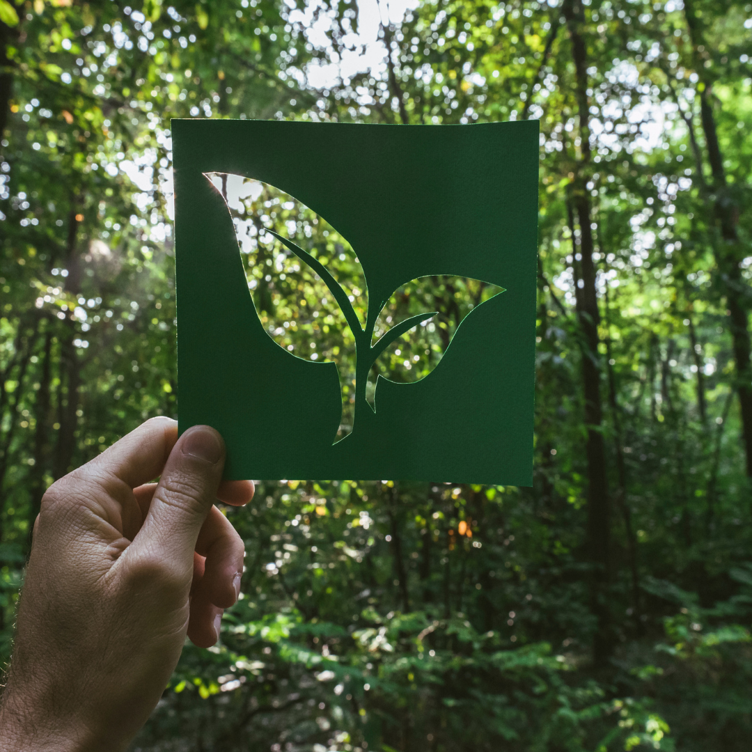 🌿 Eco-Friendly Skincare Practices for a Greener Routine 🌿