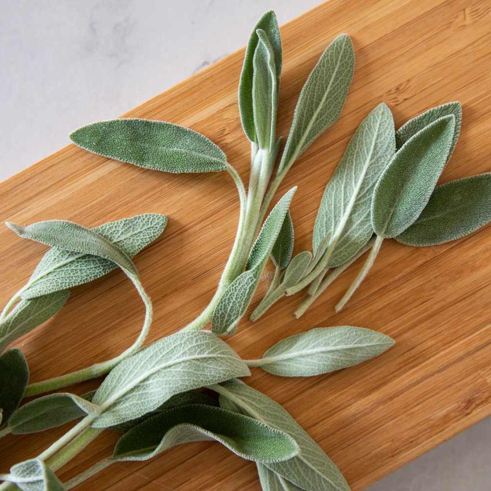 Sage