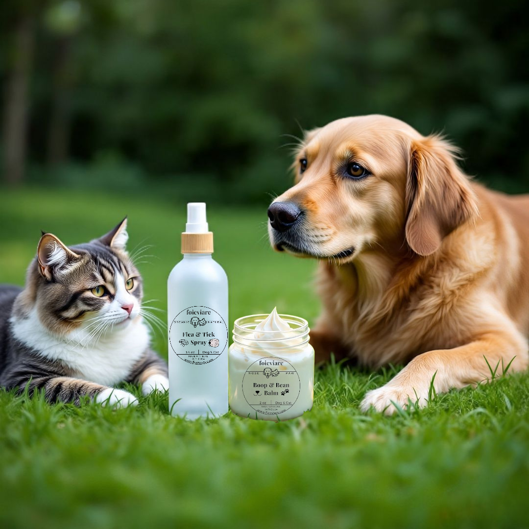 Cat and dog lying on grass with pet care products in front